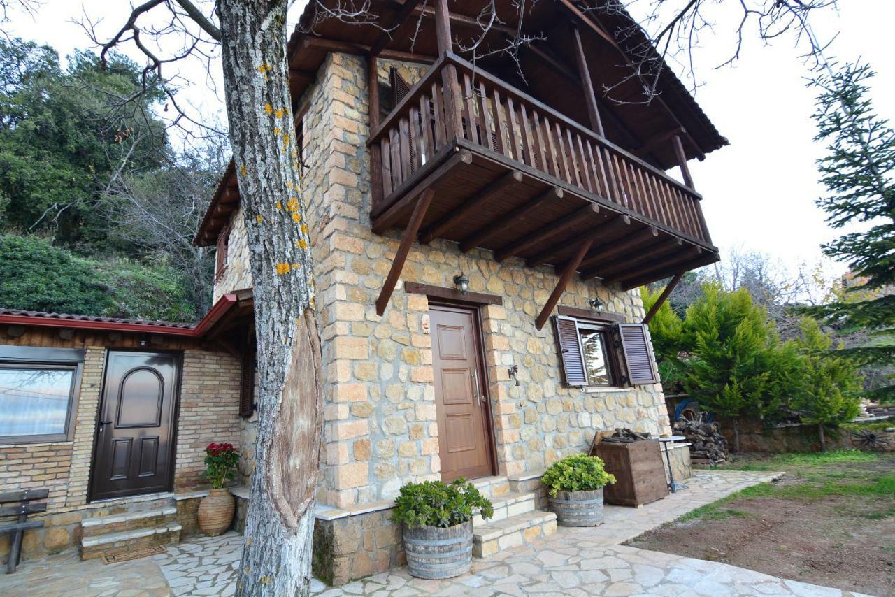 Villa Filanthi Kato Sinikia Trikalon Exterior foto